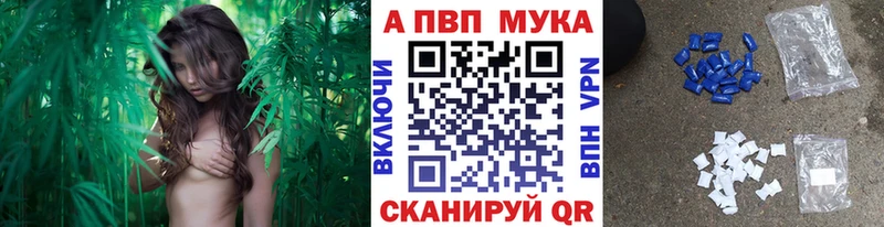 как найти наркотики  блэк спрут ссылки  A-PVP СК КРИС  Наволоки 