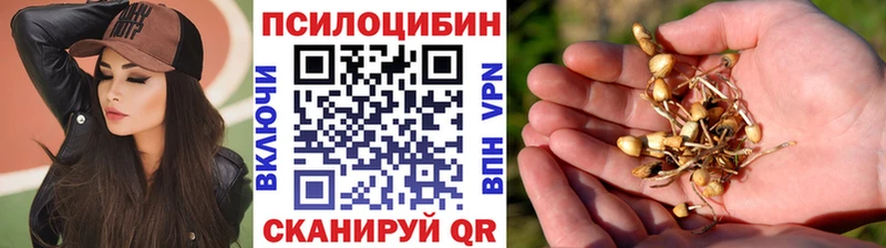 omg как войти Наволоки Псилоцибиновые грибы GOLDEN TEACHER наркошоп